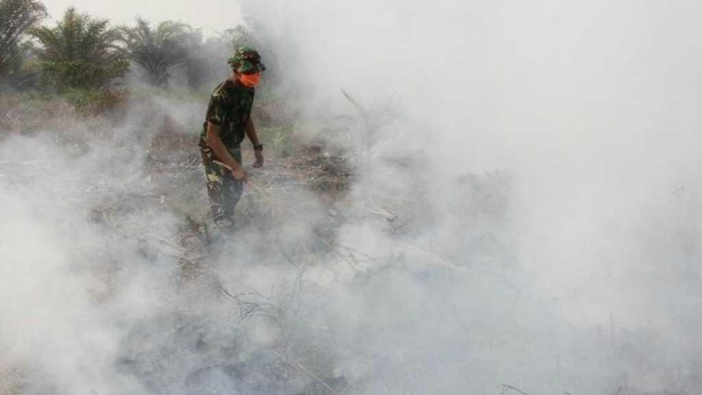 Media Asing: Indonesia Belum Punya Solusi Jelas Cegah Siklus Karhutla