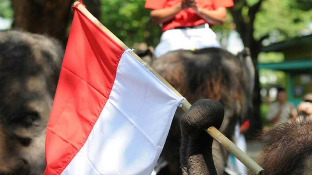 Deretan Pelaksanaan Upacara Kemerdekaan Indonesia Paling Unik