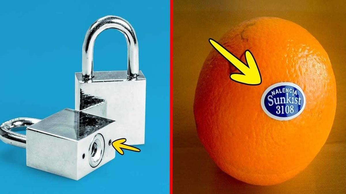 20 Fungsi Benda Ini Jarang Diketahui Banyak Orang, Kamu Wajib Tau!