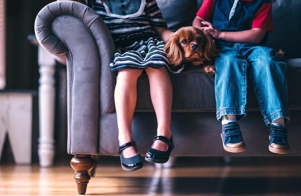 Buang Kebiasaan Bawa Sepatu ke Dalam Rumah! Bisa Bikin Diare Lho