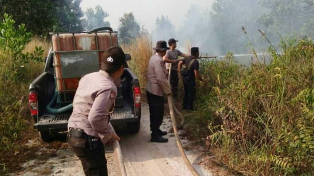 Kapolda Kalsel Minta Warga Gunakan Bekantan Antisipasi Karhutla