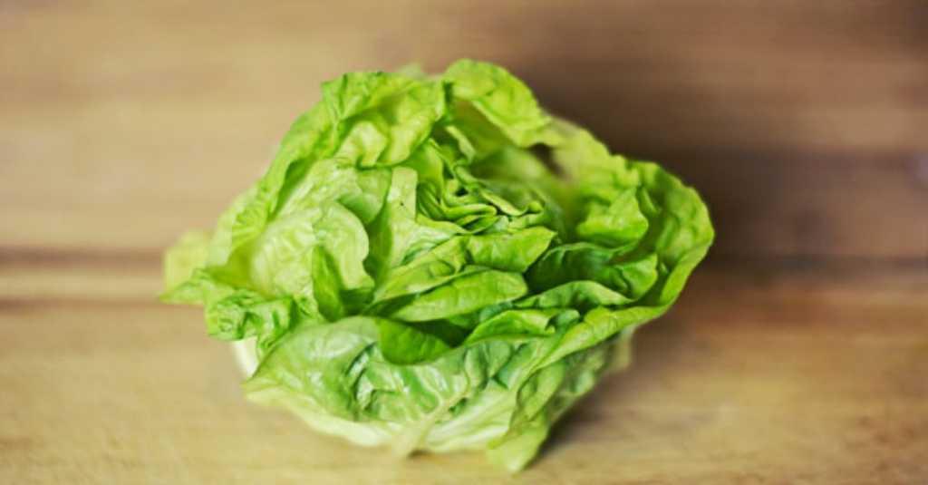Bukan Super Food, Tapi Salada Romaine Punya Manfaat yang Tak Kalah Penting