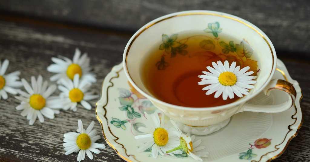 Benarkah Teh Chamomile Bisa Sebabkan Kantuk Seperti Obat Tidur?