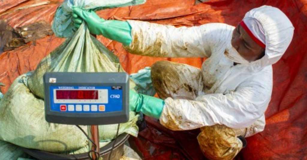 Pertamina Bergegas Periksa Ibu Hamil di Daerah Terdampak Pantai Karawang