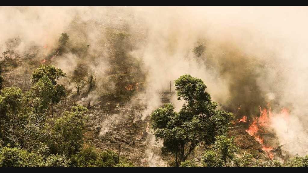Hutan Amazon Terbakar, Pemerintah Brasil Tolak Dana USD22 Juta dari G7