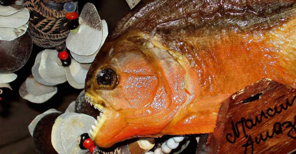 Unik, Restoran Ini Sediakan Menu Ramen Piranha, Tertarik Nyoba?