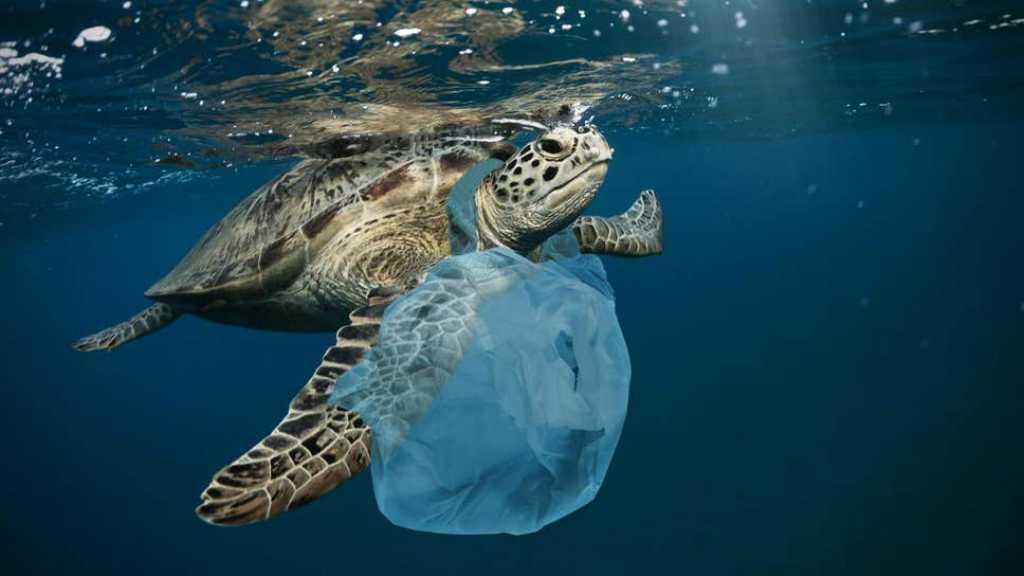 Kamu Harus Tahu! Ini 5 Fakta Plastik yang Mengancam Kehidupan di Bumi