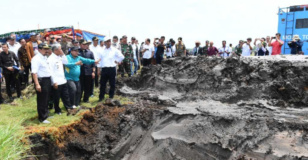 Lahan Rawa di Sumatera Selatan Disulap, Produksi Padi Meningkat