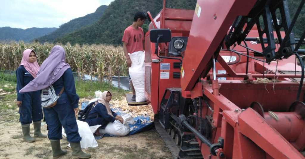 Milenials Kepincut Usaha Ekspor Pertanian? Begini Cara Mengeksekusinya