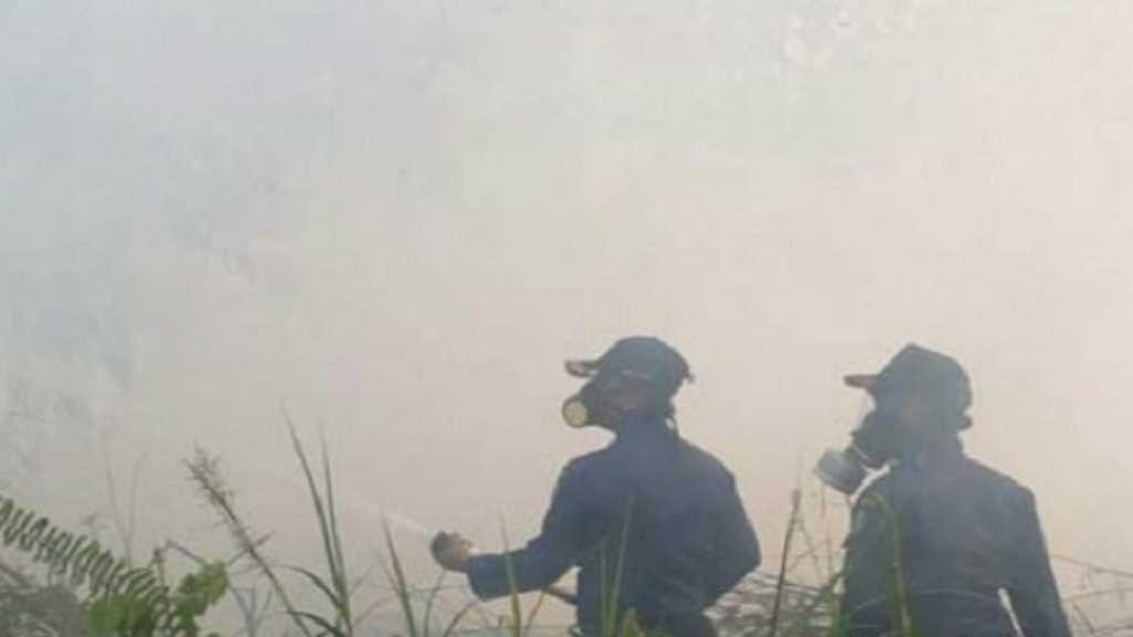 Sebelum Pindahkan Ibu Kota, Karhutla di Kalimantan Jangan Dianggurin