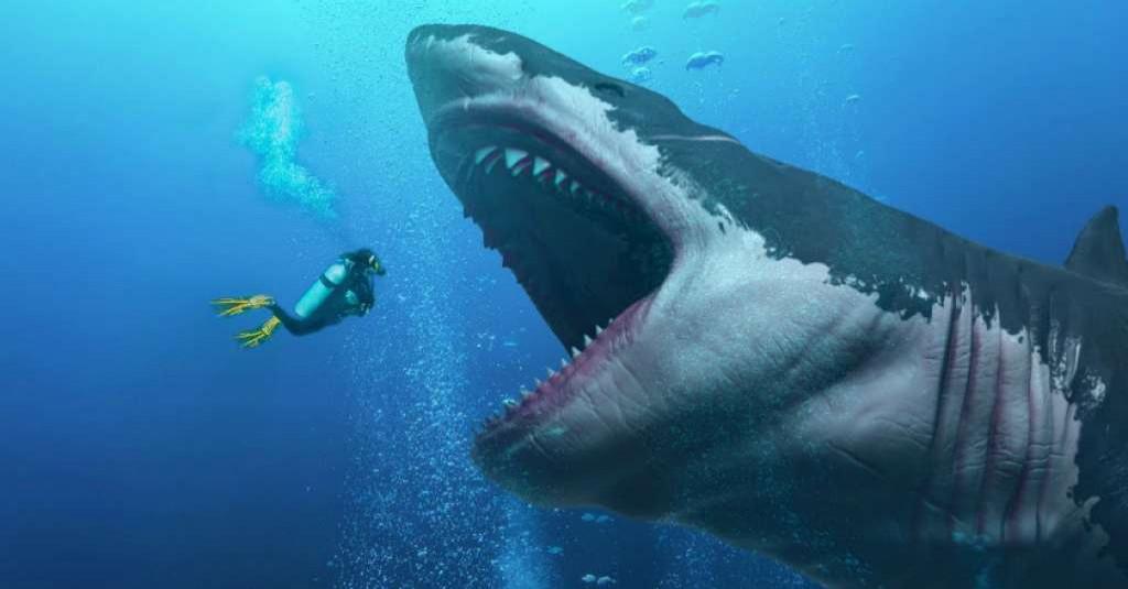 5 Fakta Serangan Hiu pada Manusia yang Belum Kamu Ketahui
