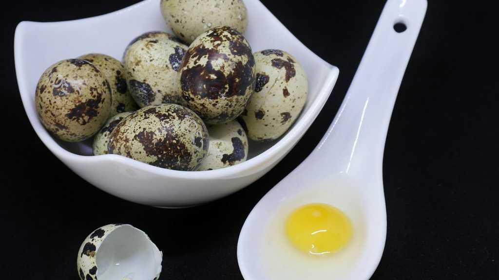 Ini 5 Manfaat Telur Puyuh untuk Kesehatan Tubuh, Bisa Obati Alergi