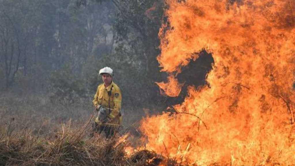 Menengok Cara Australia Atasi Kebakaran Hutan Tanpa Menggunakan Air