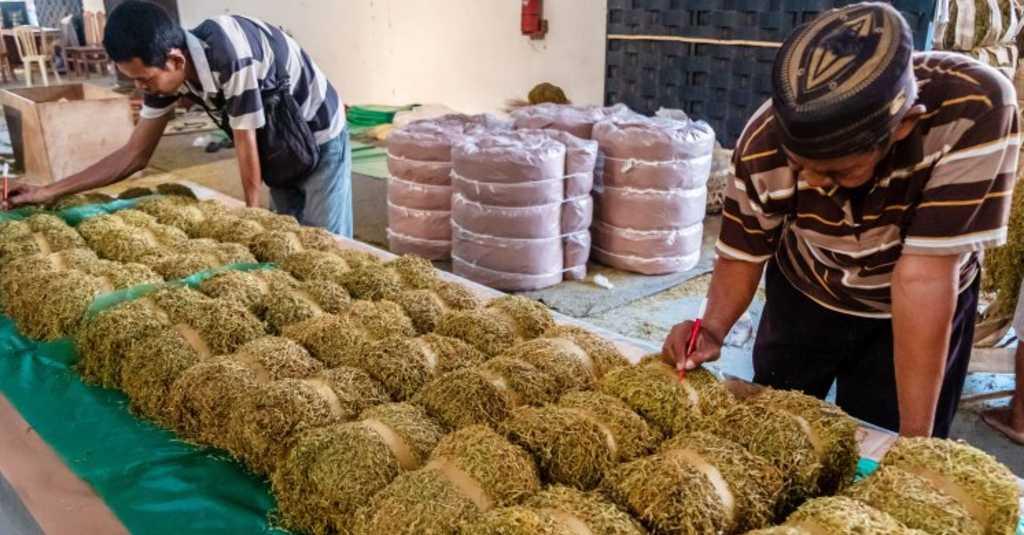 PBNU Ikut Komentar Soal Kenaikan Cukai Rokok Berdampak ke Petani Tembakau