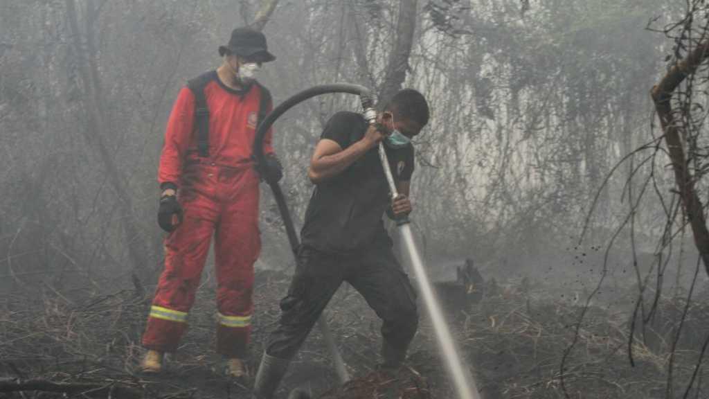 Wilayah Ini Ditaksir Merugi hingga Rp50 Triliun Akibat Asap Karhutla