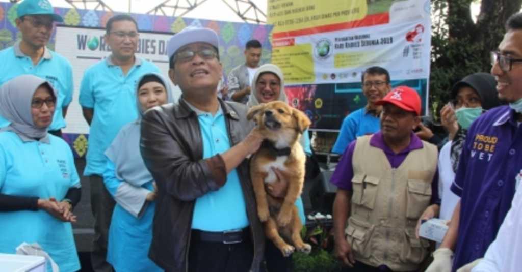 Jangan Anggap Remeh, Ini 3 Faktor Pemicu Rabies di Beberapa Daerah