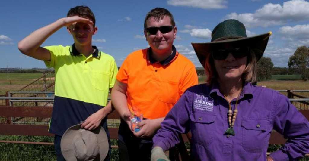 Warga Australia Tak Tertarik Kerja di Peternakan, Kesempatan untuk Backpack