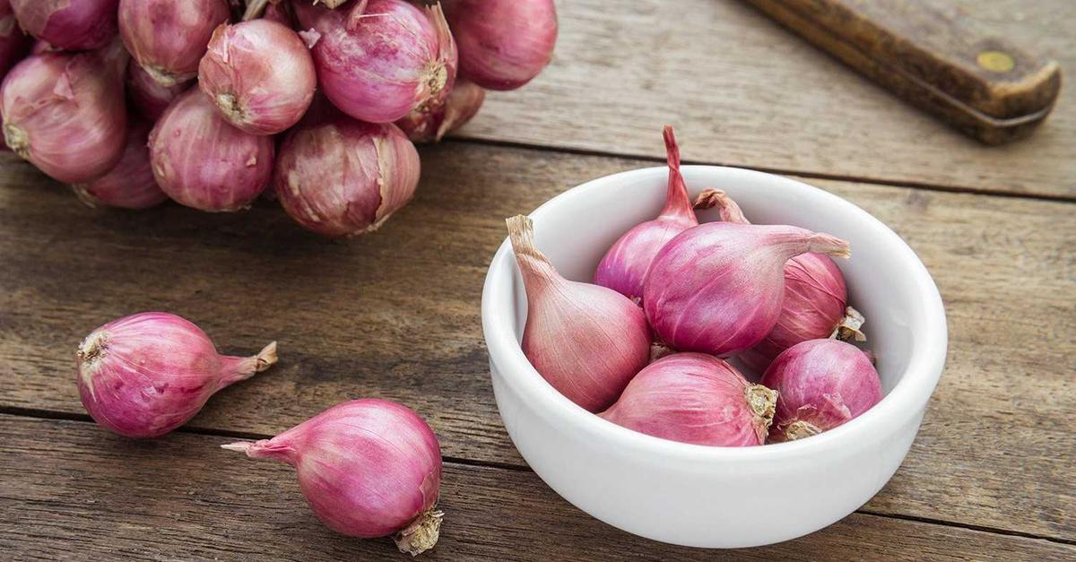 Ini Dia 5 Manfaat Bawang Merah Mentah Bagi Kesehatan