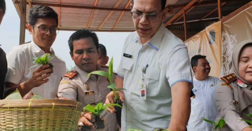 6 Produk Hortikultura Asal Sumut Tembus Pasar Ekspor