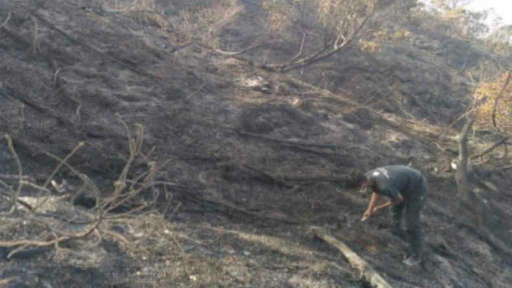 Kebakaran Gunung Ciremai Akhirnya Berhasil Dipadamkan