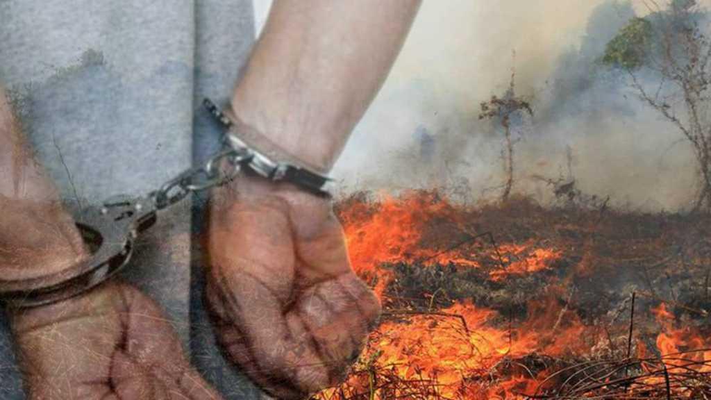 Seorang Kakek 75 Tahun Ditetapkan Jadi Tersangka Pembakar Lahan di Riau