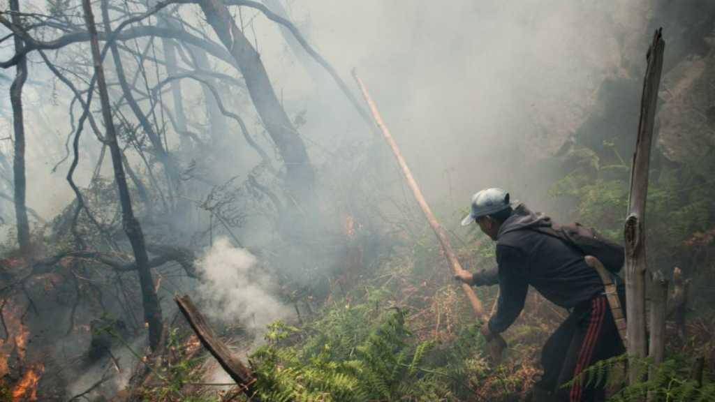 Kebakaran Lahan di Ciwidey Bandung Diduga Akibat Puntung Rokok