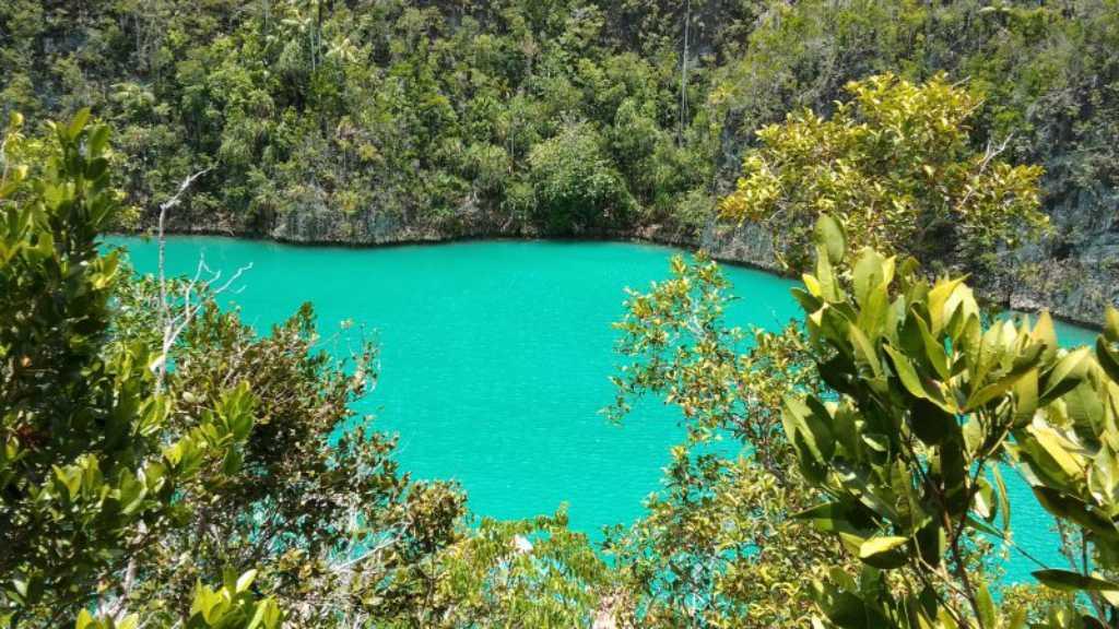 Tak Ditemani Pemandu, Seorang Wisatawan Swiss Terjebak di Hutan Raja Ampat