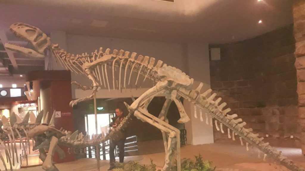 Puluhan Jejak Kaki Dinosaurus Ditemukan Kembali di China!