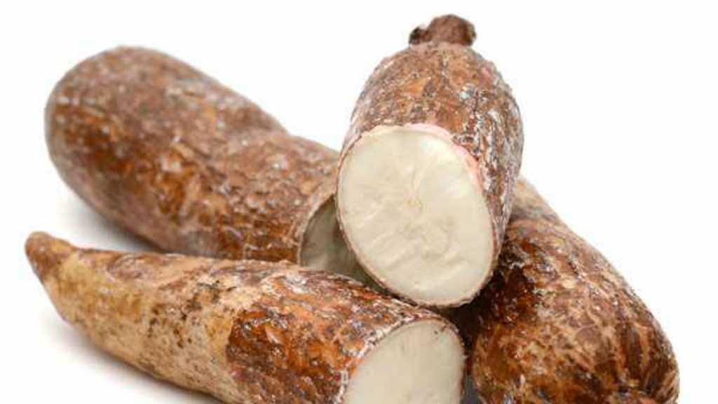 5 Manfaat Ajaib Singkong untuk Kesehatan Tubuh