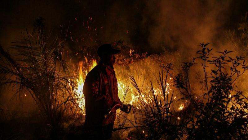 Titik Panas di Sumatera Naik, Pekanbaru Kembali Diselimuti Asap