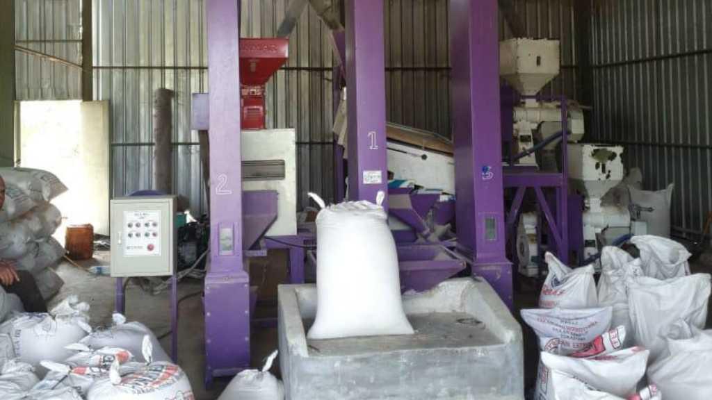 Hari Pangan Sedunia 2019: Waktunya Perbaiki Kualitas Makanan Kita