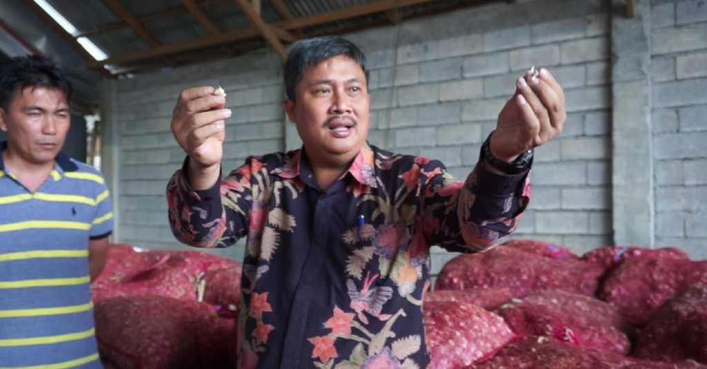 Kementan: Waspada Benih Bawang Putih Oplosan
