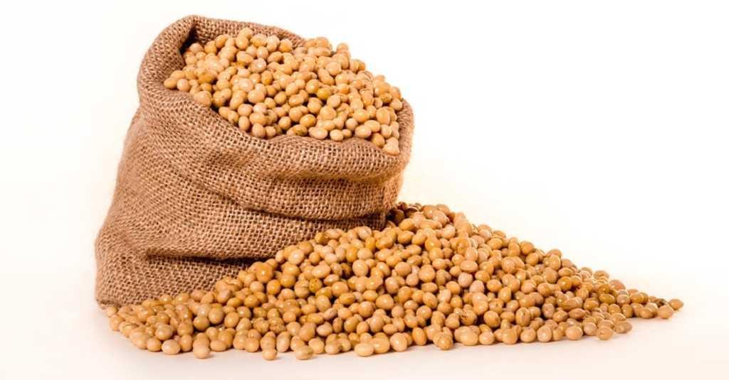 Sistem Tusip Diyakini Bisa Kejar Produksi Kedelai Tanah Air