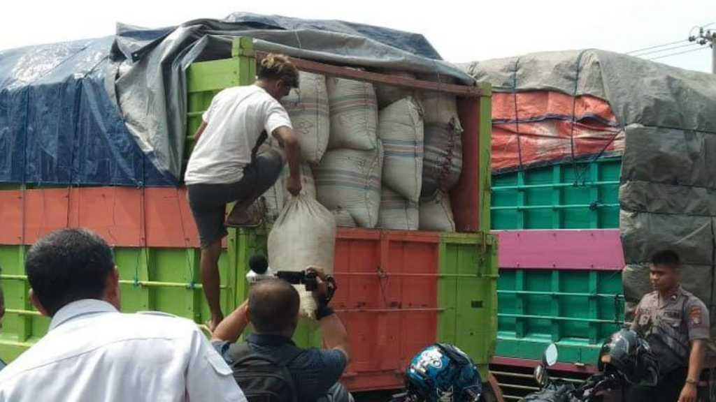 12 Ton Daun Mengandung Narkoba Akan Dimusnahkan di Palangka Raya
