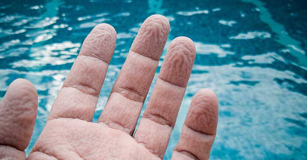 Ternyata Ini yang Terjadi saat Jari Tanganmu Keriput