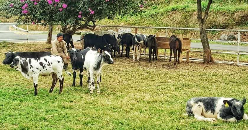 Mitos atau Fakta, Pertanian Organik Lebih Ramah Lingkungan?