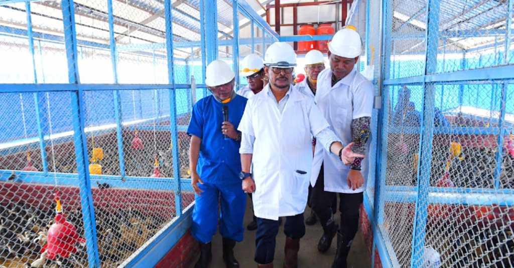 Bibit Bergantung dari Pulau Jawa, Mentan: Akibatkan Biaya Menjadi Mahal