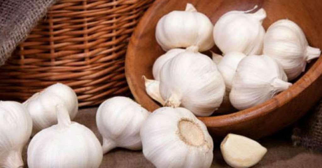 4 Bahan Ini Cocok Jaga Daya Tahan Tubuh Pada Musim Pancaroba