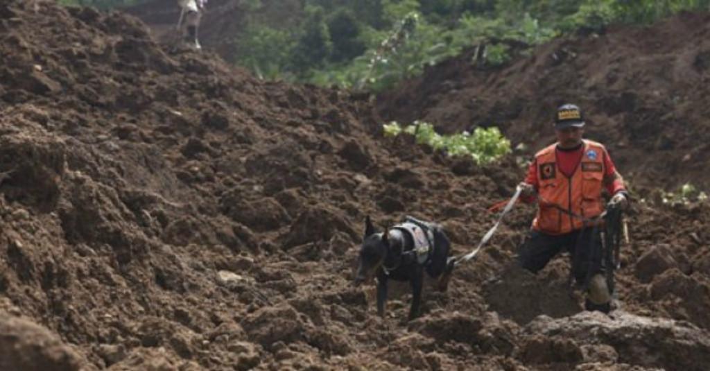 Musim Hujan Usai Kemarau Ekstrim, Bandung Rawan Longsor