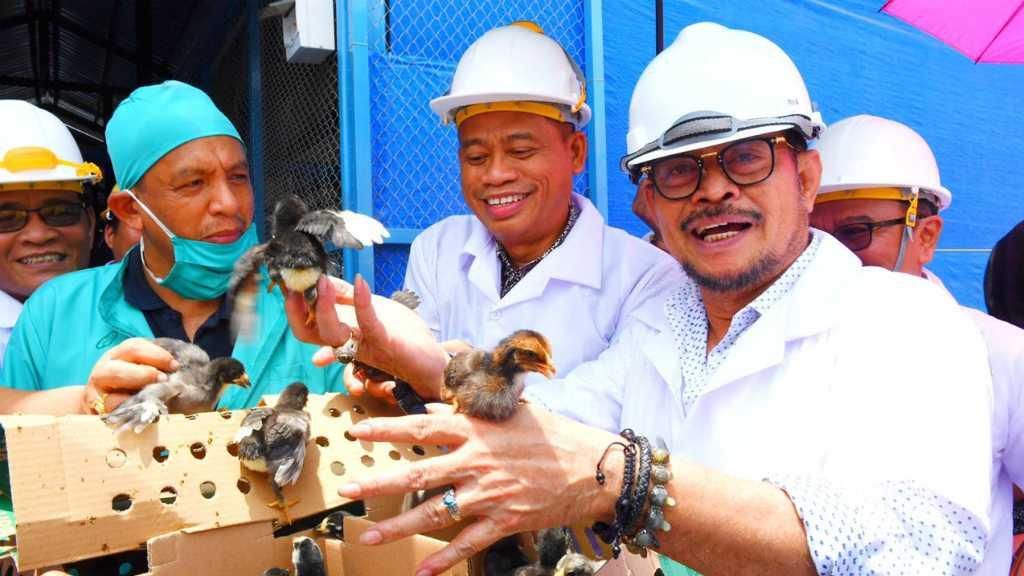 Kementan Kerja Optimis Wujudkan Swasembada Daging