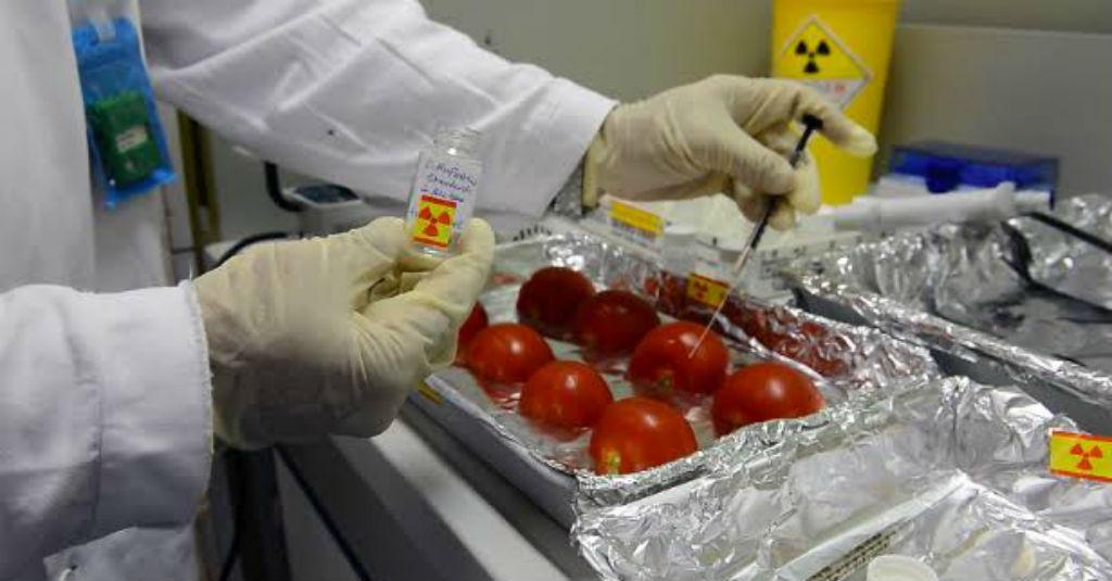 Batan buat Terobosan Teknologi Pangan Lewat Nuklir, Berani Cicip?