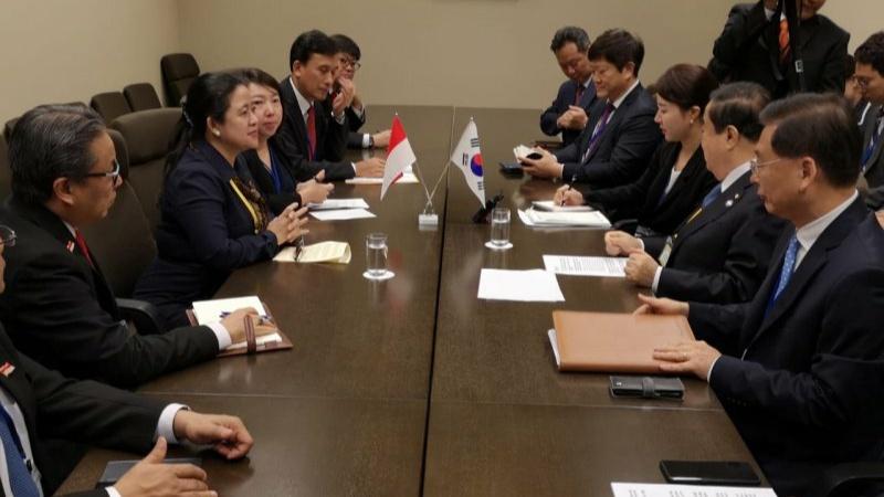 Puan Dukung Semenanjung Korea Stabil dan Damai