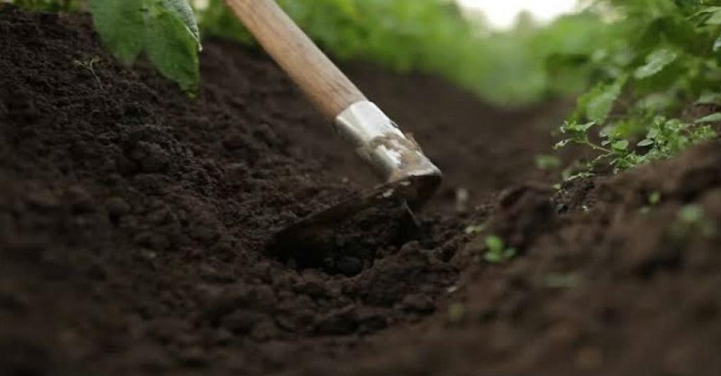 Indonesia Impor Cangkul, Kadin Merasa Miris