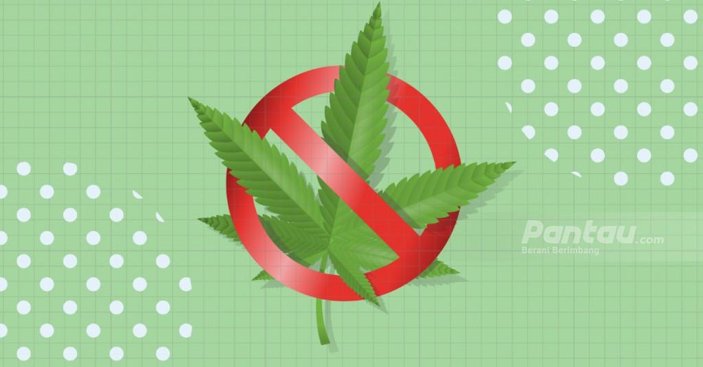 Ganja 65 Kilogram Asal Aceh Dimusnahkan, Penyitaan dari 7 Bandar Narkoba
