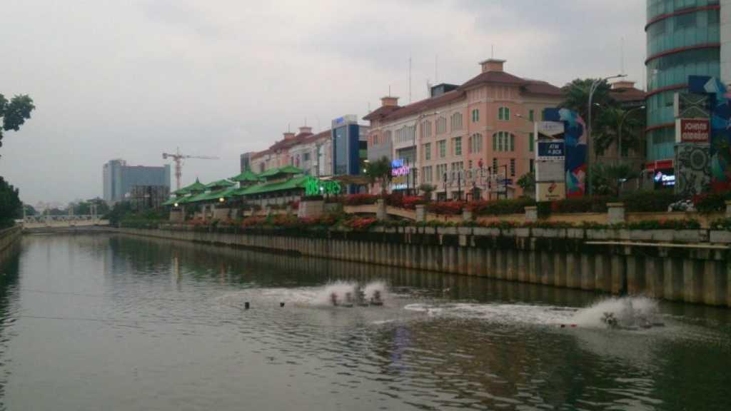 Detergen, Sumber Utama Pencemaran Sungai di DKI Jakarta