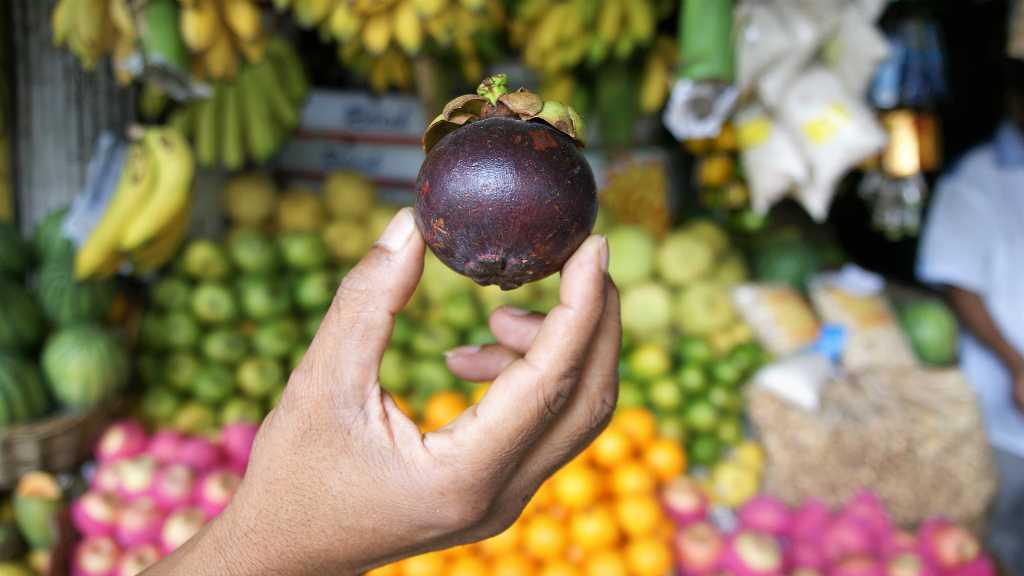 Bukan Kaleng-kaleng! Ini 8 Manfaat dari Ratu Buah Tropis alias Manggis