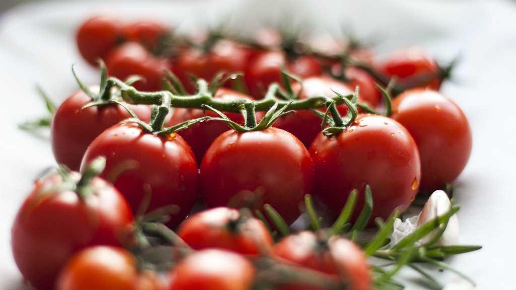 5 Manfaat Biji Tomat: dari Pencernaan hingga Atasi Jantung