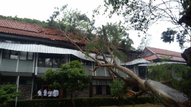 Pohon Tua Tumbang Saat Hujan Deras, Timpa Kantor Wakil Bupati Garut