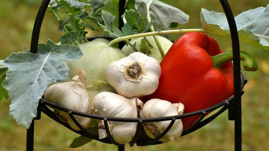 Jangan Dibiarkan Rusak Ya, Ini 5 Makanan yang Bisa Menjaga Hati Sehat
