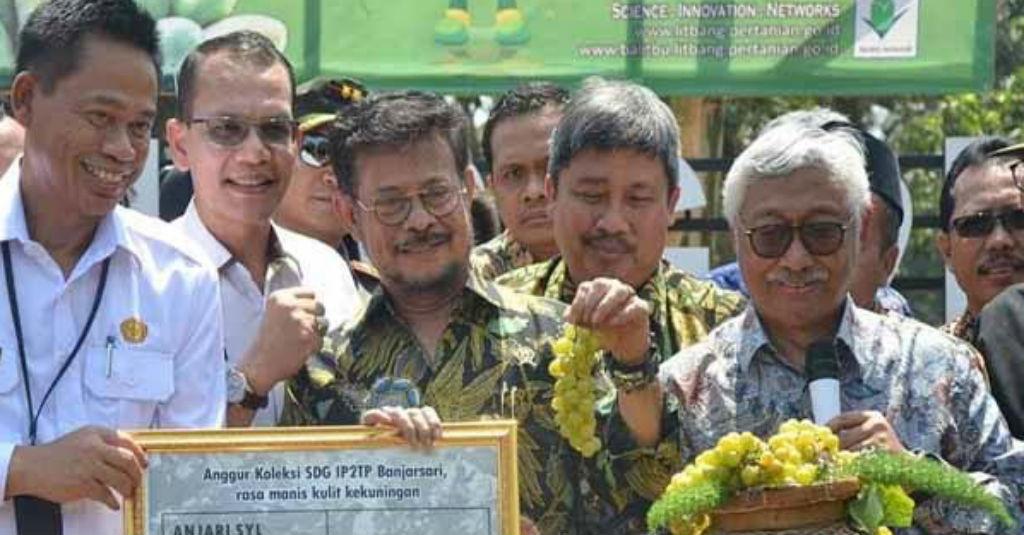 Soal Penamaan Anggur 'Jan Ethes', Ini Penjelasan Mentan SYL